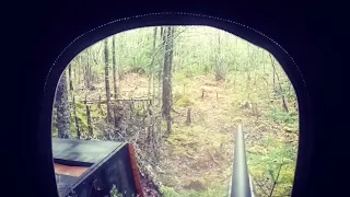 Nova Scotia Deer Hunt