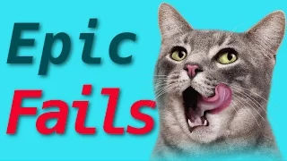 Best #Cat Fails and #Funny Videos #Compilation