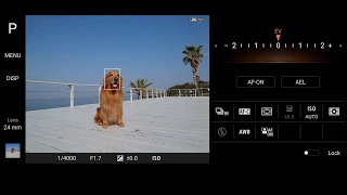 Приложение Photo Pro на Xperia 1 II.