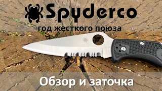 Год жесткой эксплуатации заточка и обзор Spyderco Endura