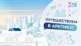 Путешествуем в Арктику | Мультфильм на московском образовательном