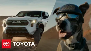 “Celebration” | The All-New 2024 Tacoma | Toyota