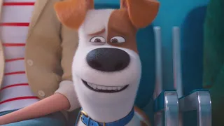 Secret Life of Pets 2 Trailer Is Here!