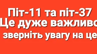 Податки за 2023 рік Pit-11 , pit-37