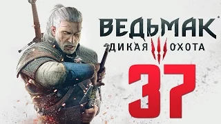 Прохождение Ведьмак 3: Дикая Охота — Часть 37: Заказ "Лешачиха".Забытый меч вранов