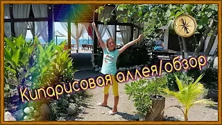 ОБЗОР КИПАРИСОВОЙ АЛЛЕИ К ЧЕРНОМУ МОРЮ/АБХАЗСКИЕ ПРИКЛЮЧЕНИЯ#1