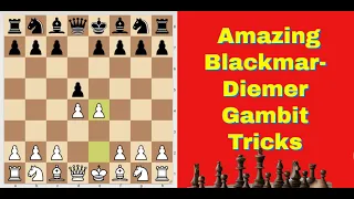 Amazing Blackmar-Diemer Gambit Tricks | Tricks, Traps And Blunders 47
