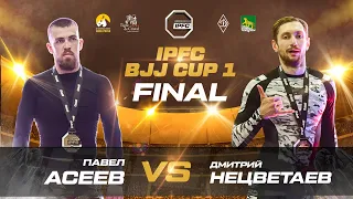 Павел Асеев vs Дмитрий Нецветаев IPFC BJJ CUP1