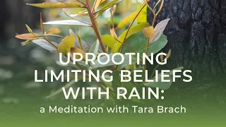 Uprooting Limiting Beliefs with RAIN: a Meditation with Tara Brach