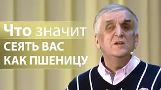 Что значит СЕЯТЬ ВАС КАК ПШЕНИЦУ (Луки 22:31) - Виктор Куриленко