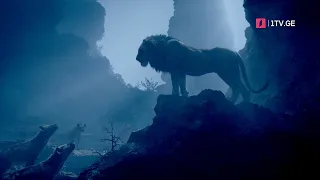 „მელოდეთ“ - ფილმიდან „მეფე ლომი“ 🦁
