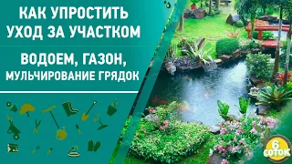 Как упростить уход за участком. Водоем, газон, мульчирование грядок. 6 соток 20.07.2020