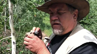 Prospecting Rich Deposits - Gold & Silver Veins in Utah Mountains