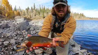 Chasing BIG Brook TROUT Deep in the Mountains! (Catch & Cook)