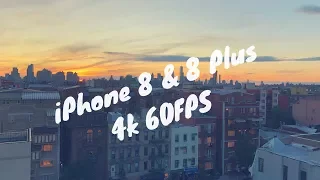 iPhone 8 & 8 Plus 4k 60 FPS Video!!!