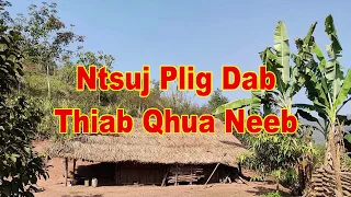 Ntsuj Plig Dab Qhua Neeb (Scary Story)