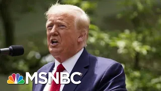 Trump Trails Biden By 16 Points In Michigan, Poll Shows | Morning Joe | MSNBC