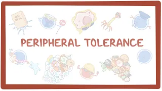 Peripheral Tolerance- causes, symptoms, diagnosis, treatment, pathology