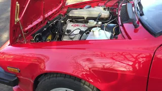 85' Alfa Romeo GTV6 Cold Start Video