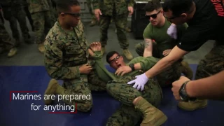 United States Marines Get Tasered