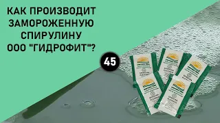 КАК ПРОИЗВОДИТ ЗАМОРОЖЕННУЮ СПИРУЛИНУ ООО "ГИДРОФИТ"?