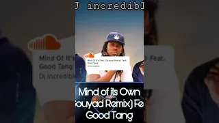 Dj incredible - Mind of its Own (Gouyad Remix) Feat. Good Tang