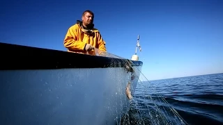 Rytinė žvejyba Baltijos jūroje