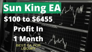 Sun King EA Forex MT4 EA Jan 2024 Month Profit | Best forex robots