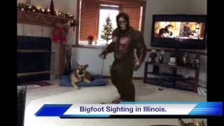 Bigfoot Sighting in Illinois