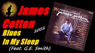 James Cotton - Blues In My Sleep [Feat. G.E. Smith] (Kostas A~171)