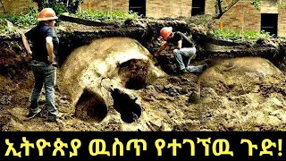 New Discovery in Ethiopia ኢትዮጵያ ዉስጥ የተገኘዉ ጉድ እና የመላእክት ልጆች የሆኑት ኔፍሊሞች! Abel Birhanu 2 ||Seifu on ebs