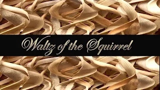 Waltz of the Squirrel