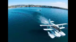 An-2 amphibious float plane on water