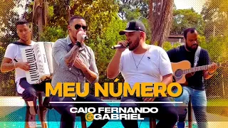 Caio Fernando e Gabriel | Meu Número • Hugo e Guilherme (Cover)