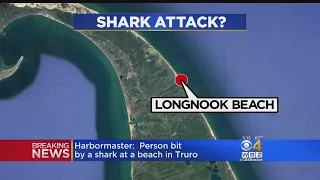 Person Bittten By Shark At Cape Cod Beach