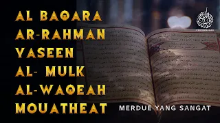 Quran surah Albaqara yasin Alrahman AlWaqeah Almulk Almuethat | Beristirahatlah untuk hatimu