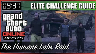 The Humane Labs Raid Elite Challenge Guide | No Toreador