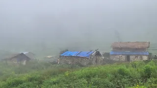 Most Peaceful & Relaxing Nepali Village Life in Rainy Time | Organic Mountain Village Life |