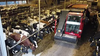 Nijhof feeding dairy