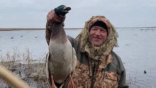 Охота на утку и гуся при западном ветре на раскатах Астраханской области 12-14 ноября 2021 года