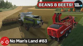 Harvesting Sunflowers, Sugar beets & Soybeans - No Man's Land #83 FS22 Timelapse