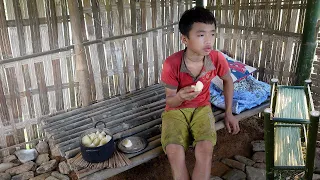 Orphan Boy - Living wandering alone, Chopping bamboo for shelves, planting bananas. (episode 31)