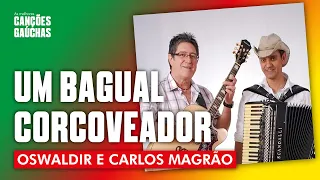 UM BAGUAL CORCOVEADOR - OSVALDIR & CARLOS MAGRÃO (AO VIVO - O SHOW DO SUL)