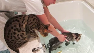 KITTY SWIMMING LESSONS