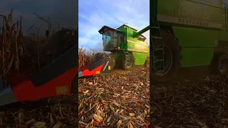 Žetva kukuruza 🌽 Deutz Fahr Topliner 4090