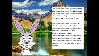 Lille Hasse hare (QrSangSafari)
