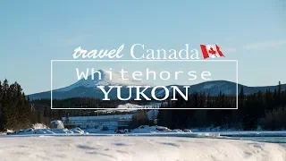 Welcome to the Beautiful Land of Whitehorse - Hiking in Whitehorse YUKON