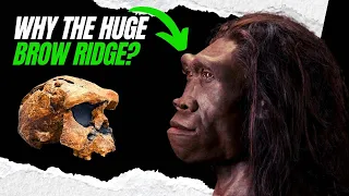 One of the Biggest Mysteries in Human Evolution