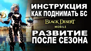 📱BDM: РАЗВИТИЕ БС После сезона в Black Desert Mobile (БДМ)