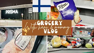 Grocery shopping In Finland 🇫🇮 | The Happiest Country is Very Expensive | Grocery Vlog